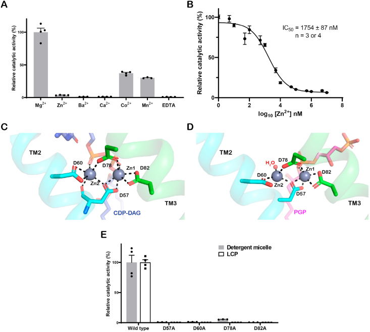 Fig. 4