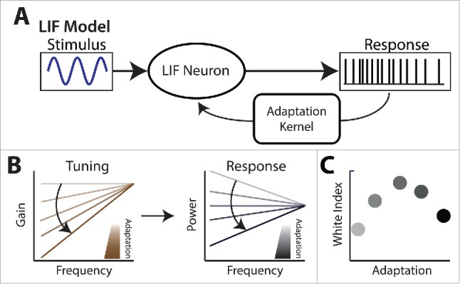 Figure 7.