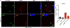 Extended Data Fig. 9