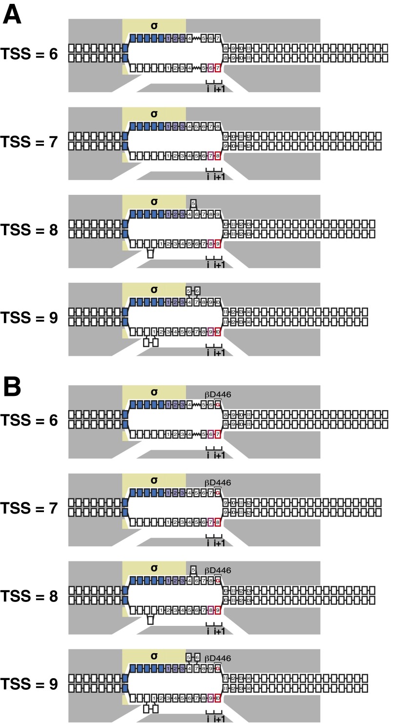 Fig. S1.