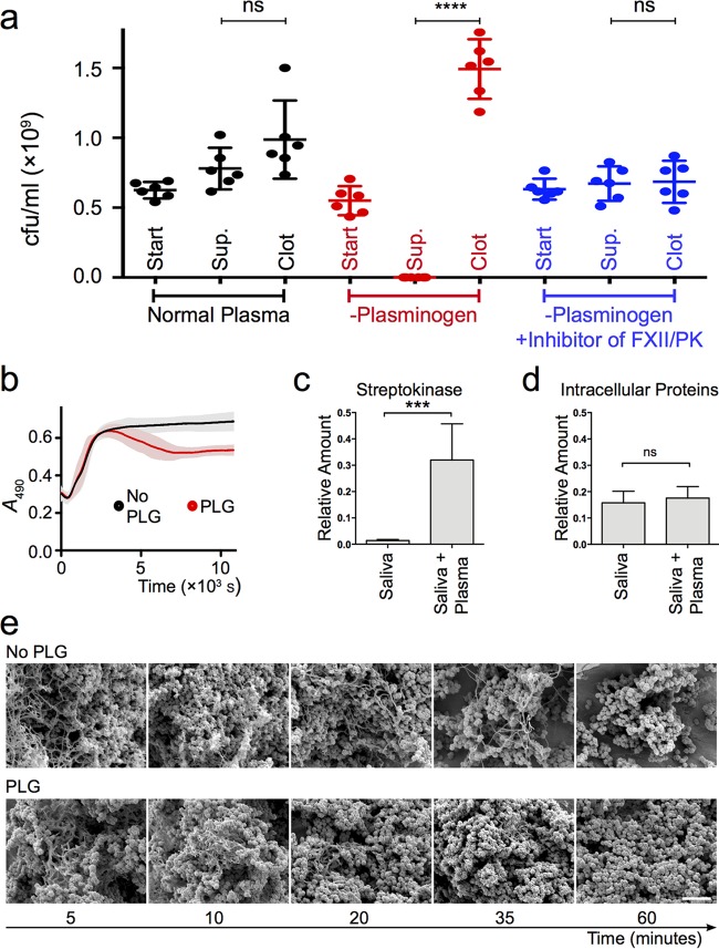 FIG 4