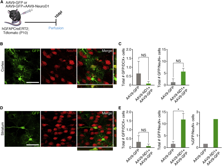 Figure 3