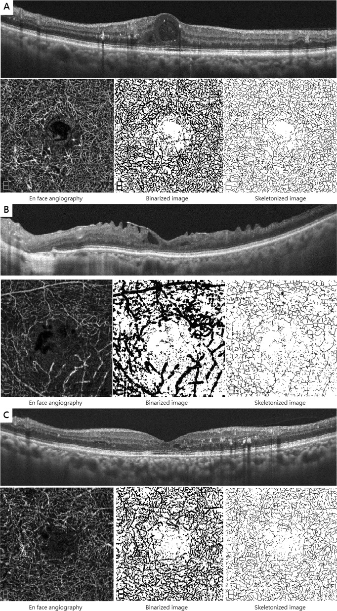 Fig. 2