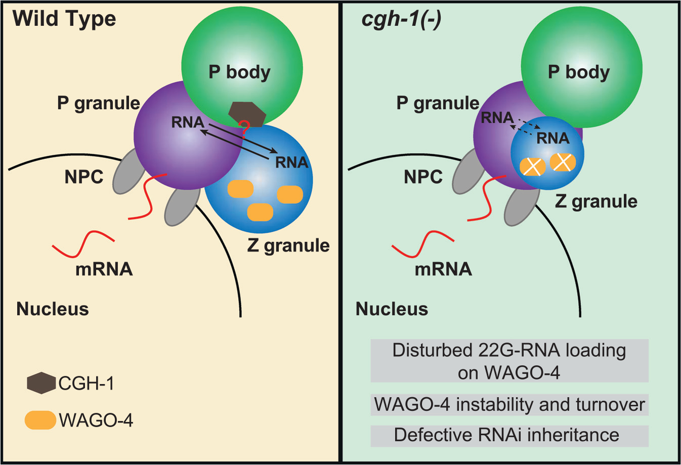 Figure 7.