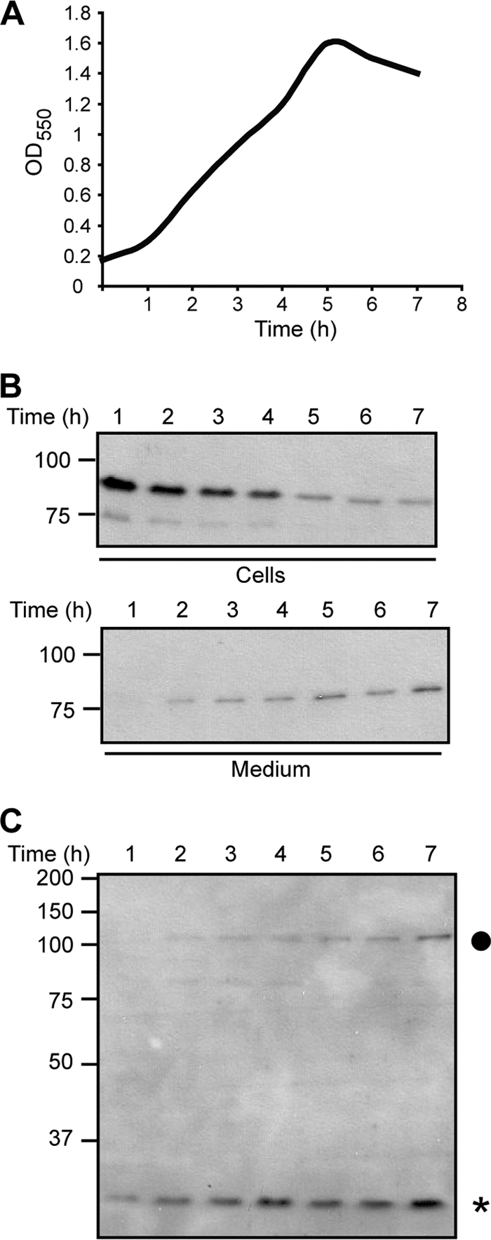 FIG. 4.