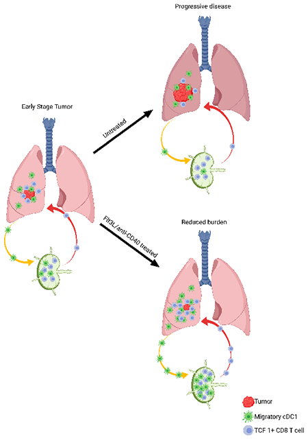 graphic file with name nihms-1740626-f0008.jpg