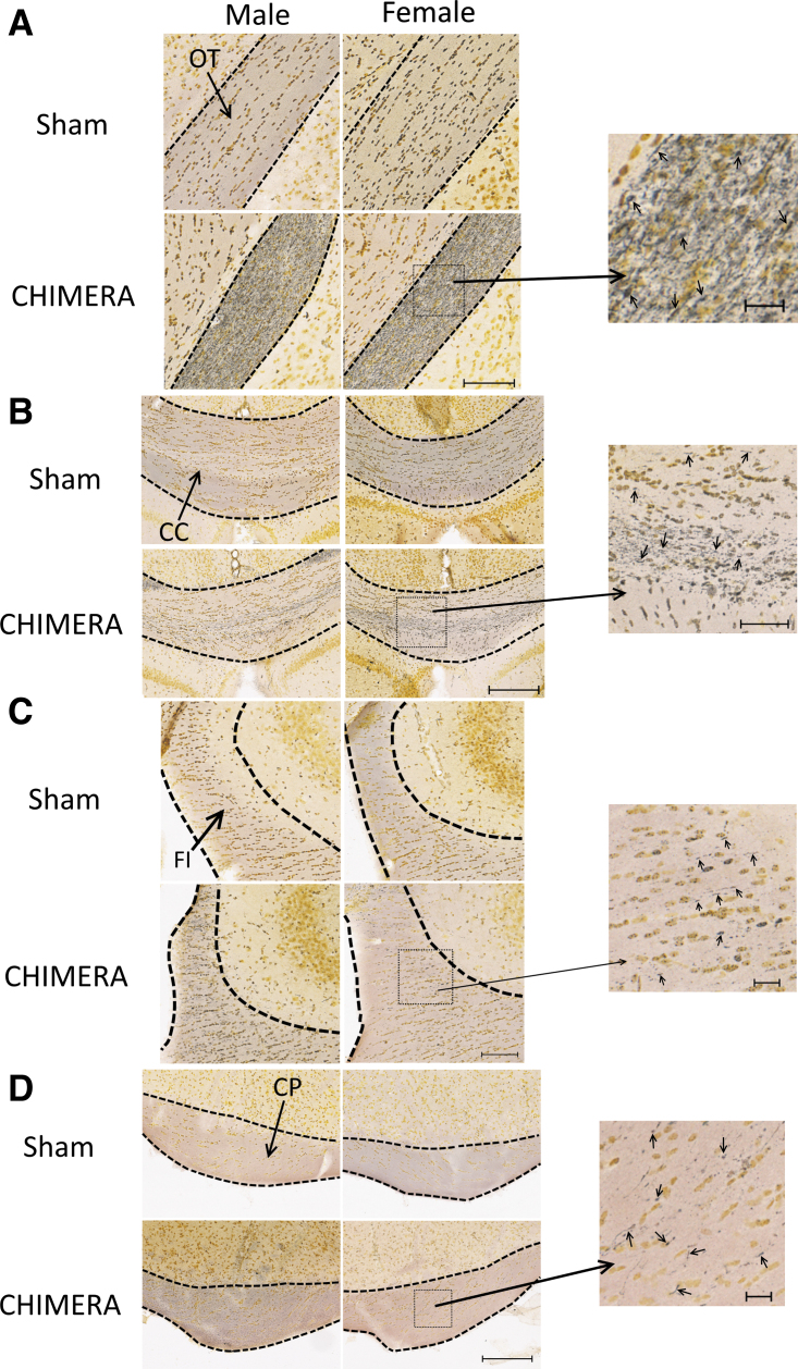 FIG. 2.