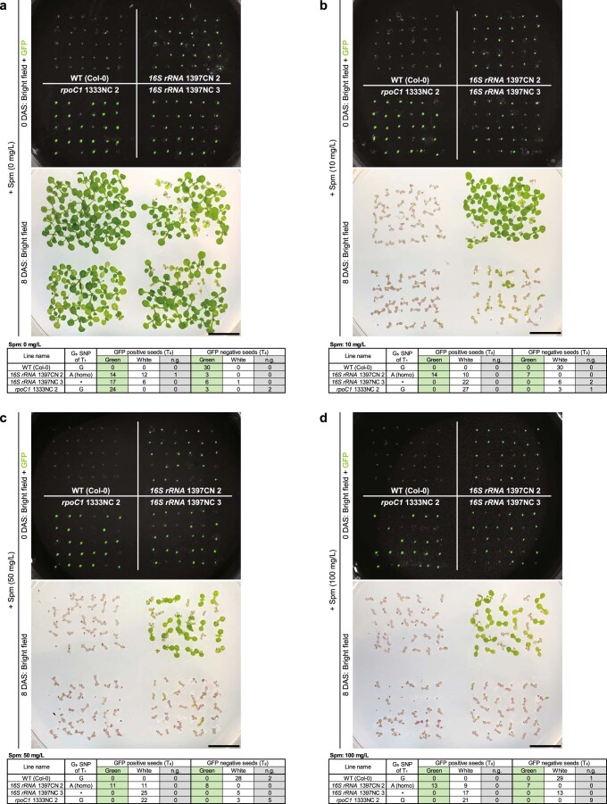 Extended Data Fig. 8