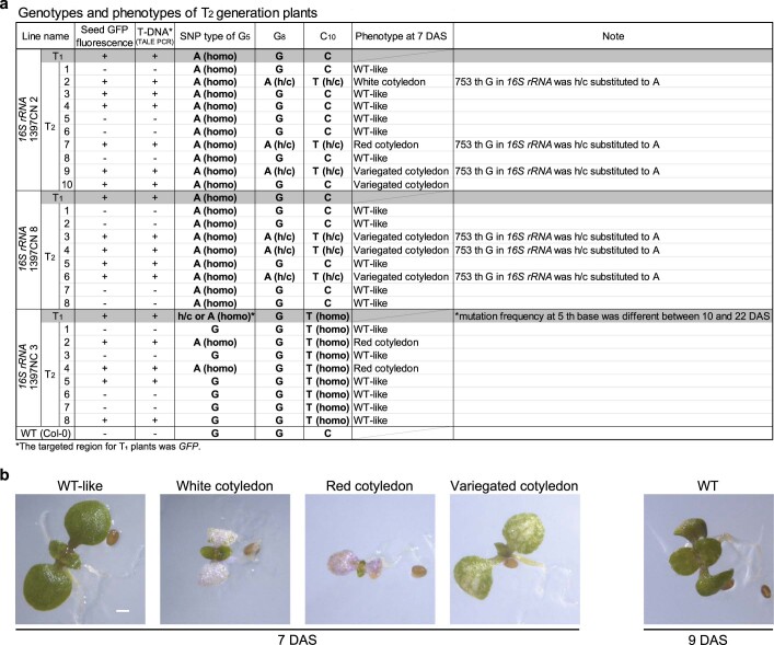 Extended Data Fig. 5