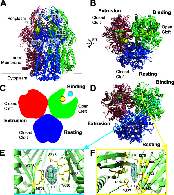 FIG 3