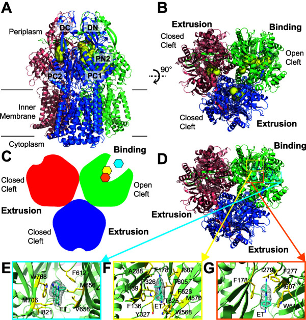 FIG 2