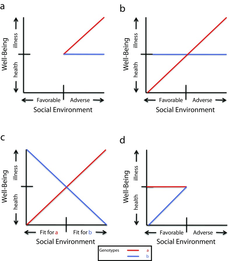 FIGURE 1—