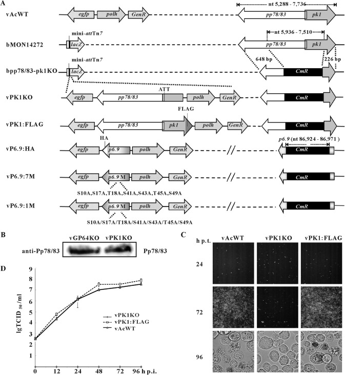 FIG 3