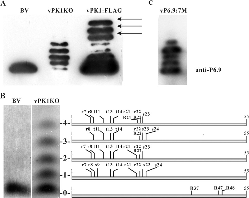 FIG 4