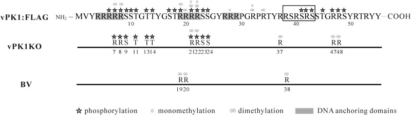 FIG 7