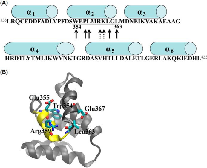 FIGURE 3.