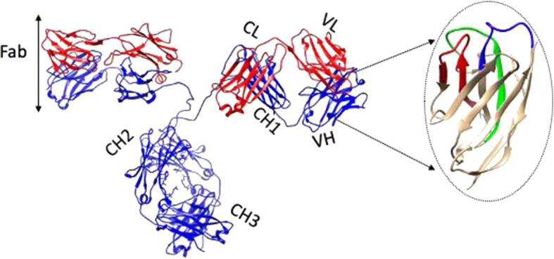 Fig. 1