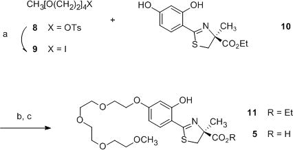 Scheme 1