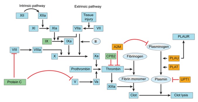 Fig 9