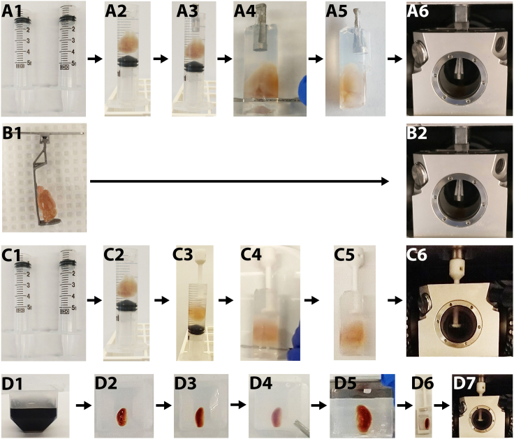 Figure 5