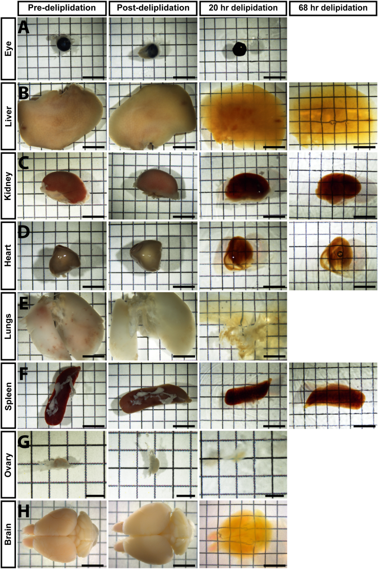 Figure 4