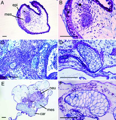 Fig 2.