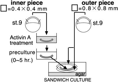 Fig 1.