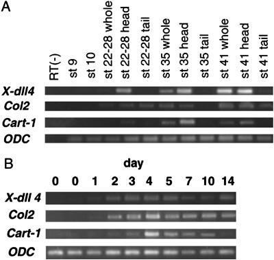 Fig 4.