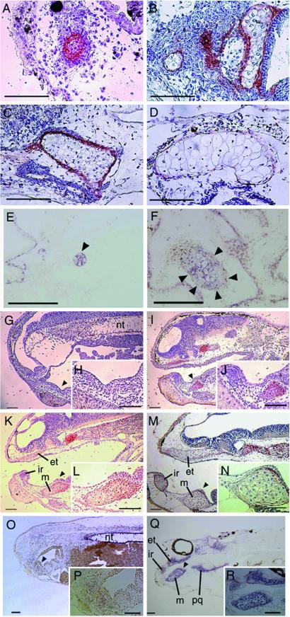 Fig 3.