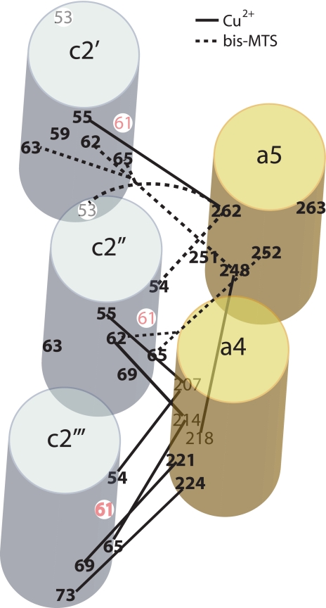 FIGURE 10.