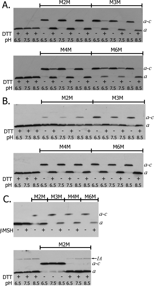 FIGURE 2.