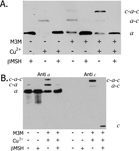 FIGURE 9.