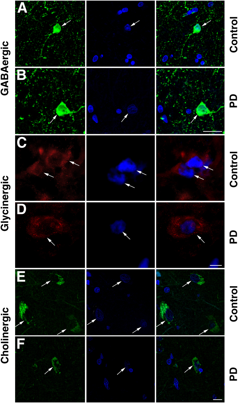 Figure 3