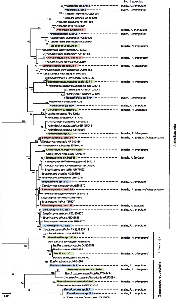 Figure 5