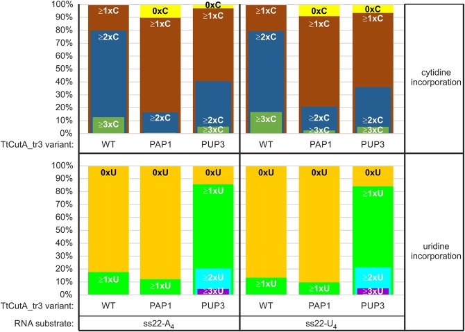 FIGURE 11.