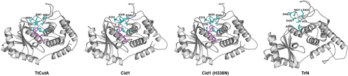 FIGURE 7.