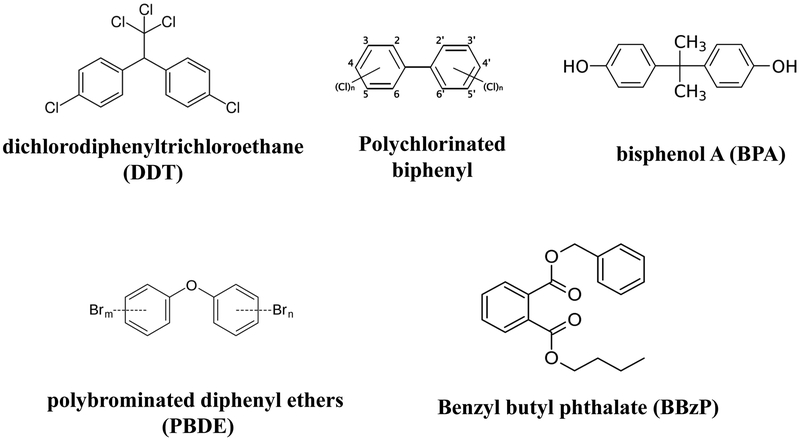 Figure 1: