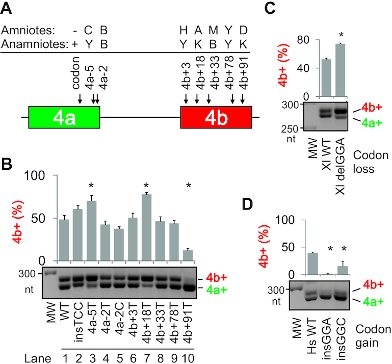 Figure 5.