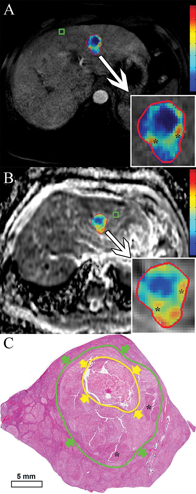 Figure 2: