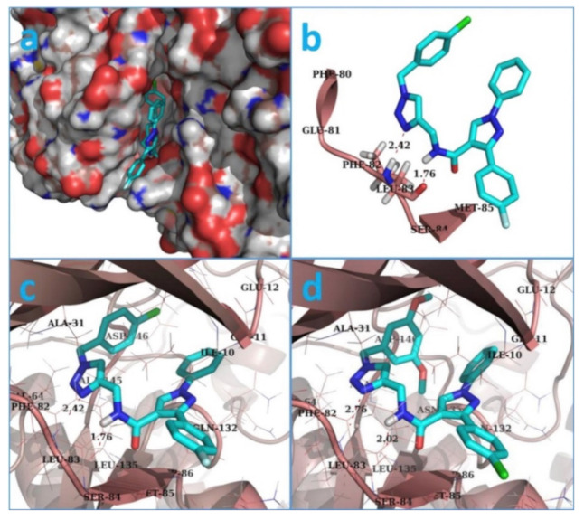 Figure 28