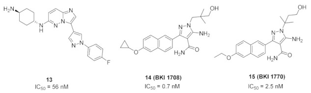 Figure 24