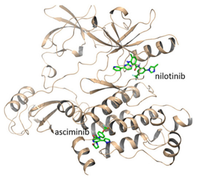 Figure 22