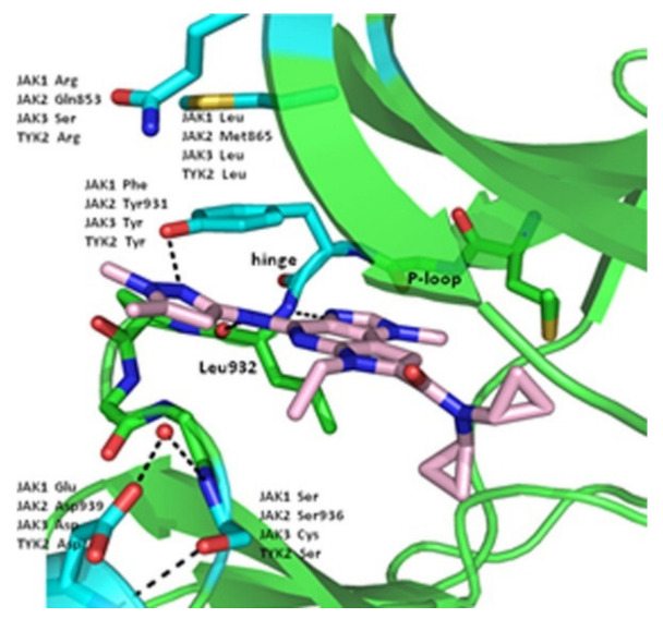 Figure 52