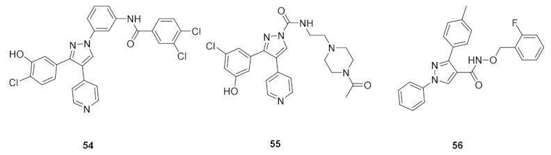 Figure 61