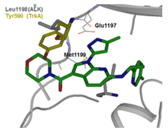 Figure 10