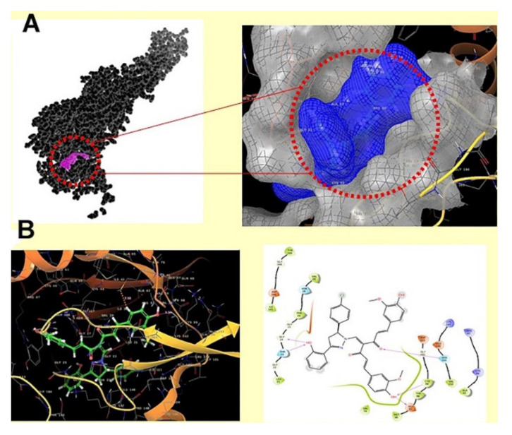 Figure 37