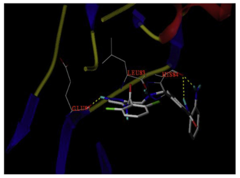 Figure 30