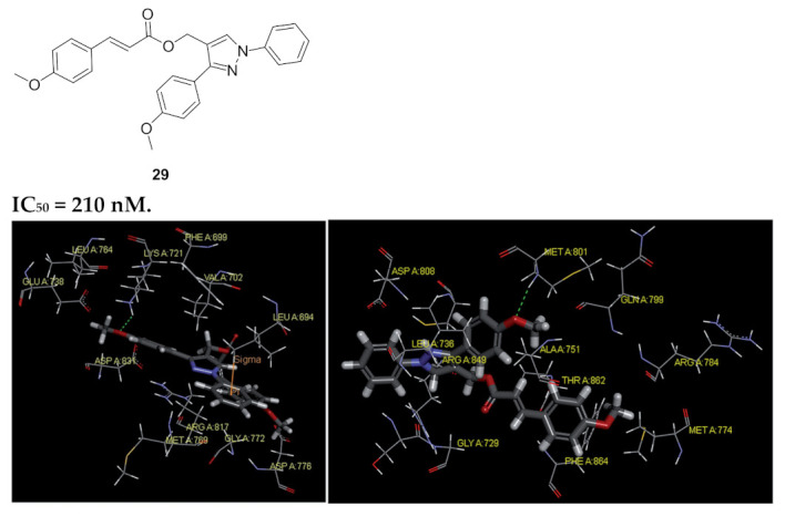 Figure 31