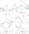 Figure 30