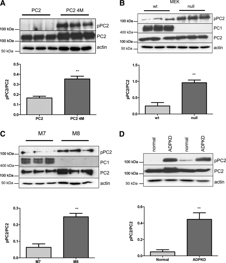 Figure 3.